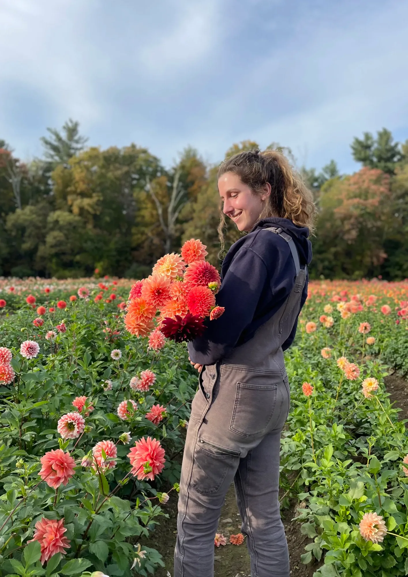 Tess in a flower field